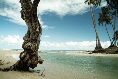playa paridisiaca 8 Las mejores playas paradisíacas del mundo