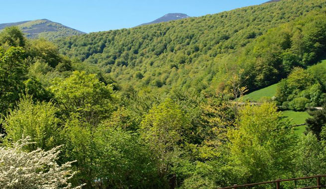 Los mejores parques y reservas naturales de Cantabria