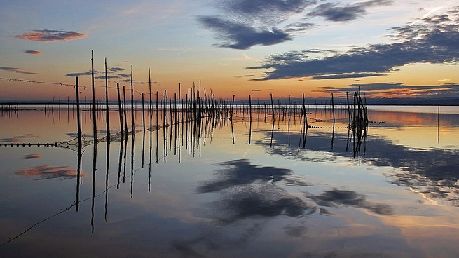 Resultado de imagen de parque natural de la albufera