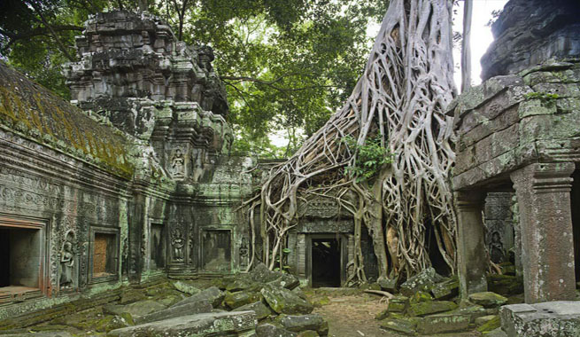 Resultado de imagen de Templo Ta Prohm â Camboya
