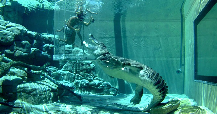 Crocosaurus Cove