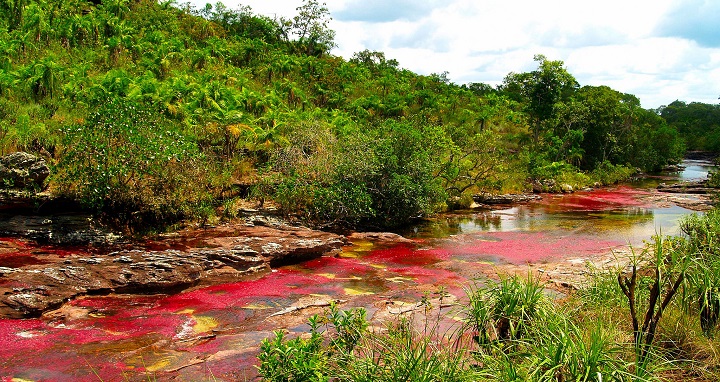 Rio Cano Cristales