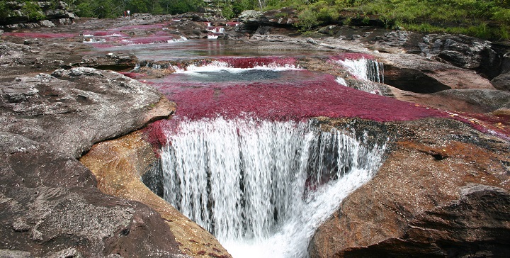 Rio Cano Cristales2