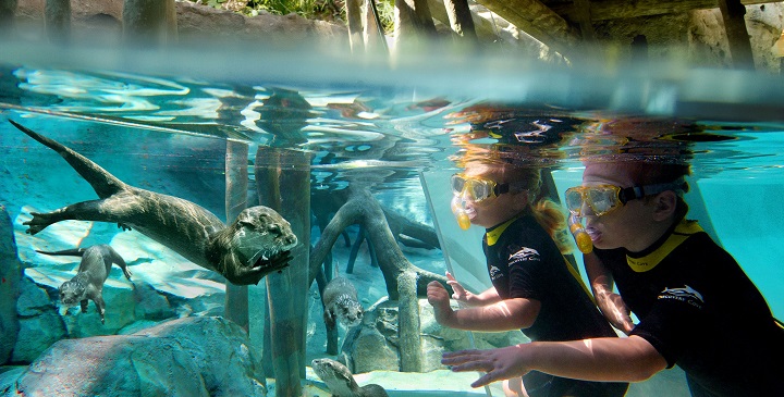 Discovery Cove