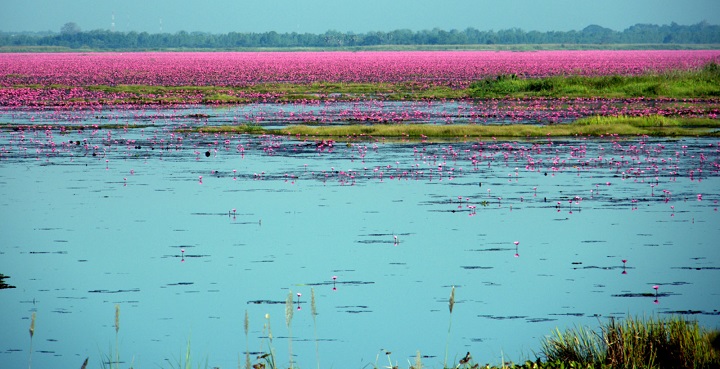 Lago Nong Han