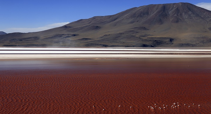 Laguna Colorada1