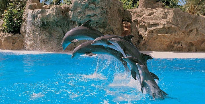 Loro Parque