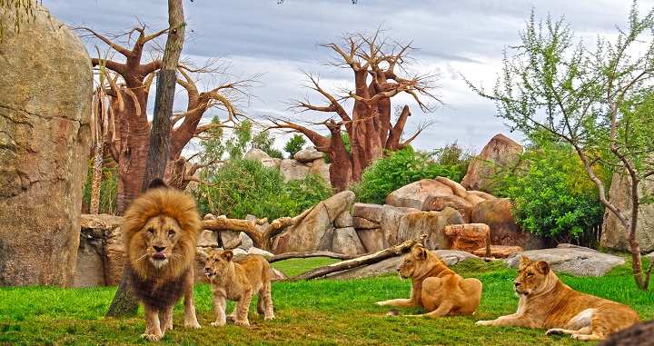 Bioparc Valencia