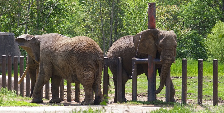 Henry Doorly Zoo