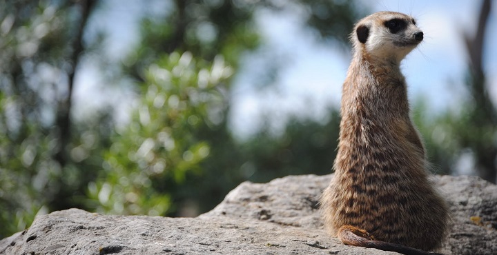 Prague Zoo