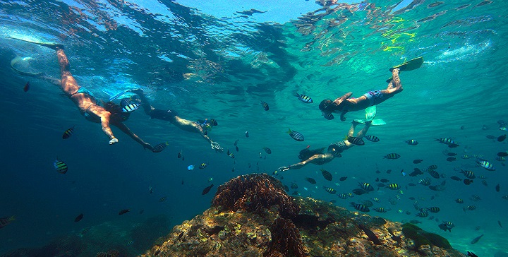 Snorkel en Tailandia1