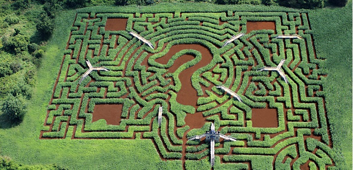 Davis Mega Maze