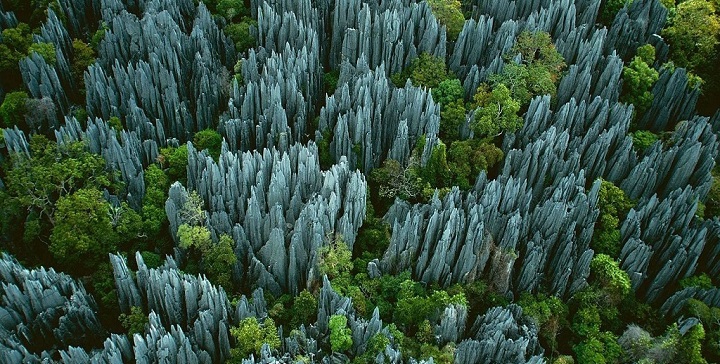 Parque Nacional Tsingy Madagascar3