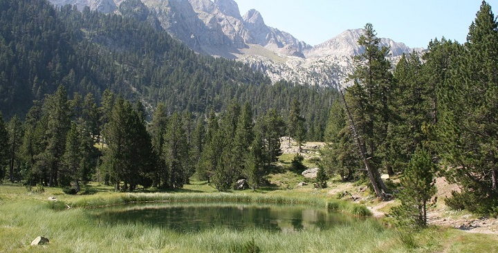 Valle de Benasque Aragon4