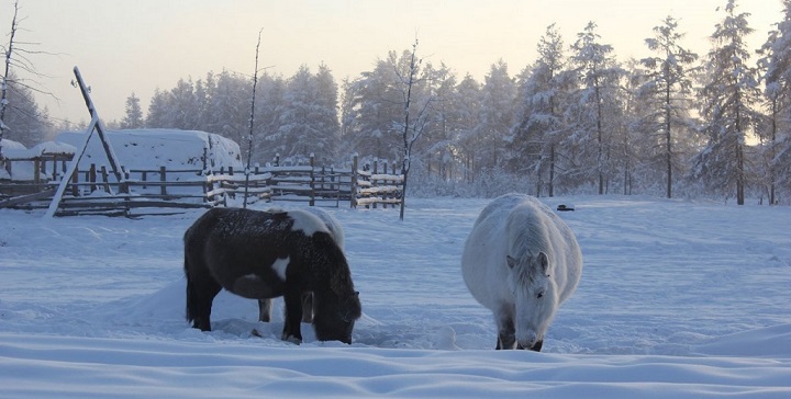 Oymyakon Rusia1