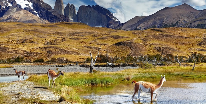 Parque Nacional Torres del Paine2