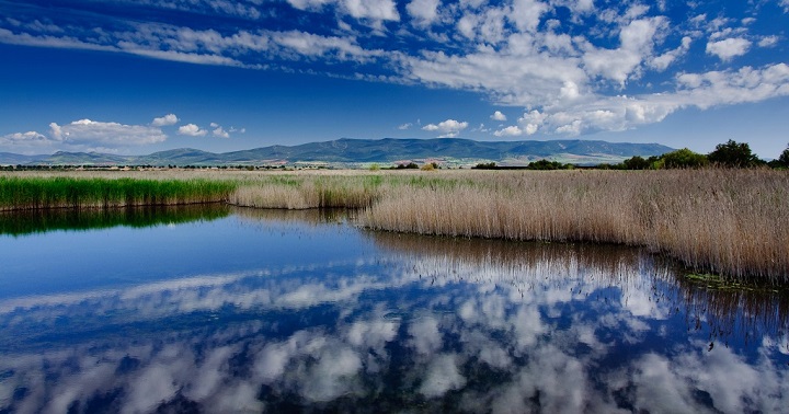 Parque Nacional de las Tablas de Daimiel