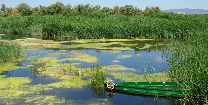 Parque Nacional de las Tablas de Daimiel1