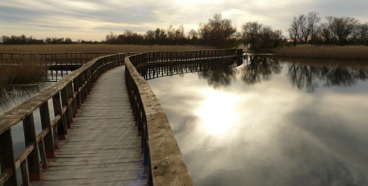 Parque Nacional de las Tablas de Daimiel3