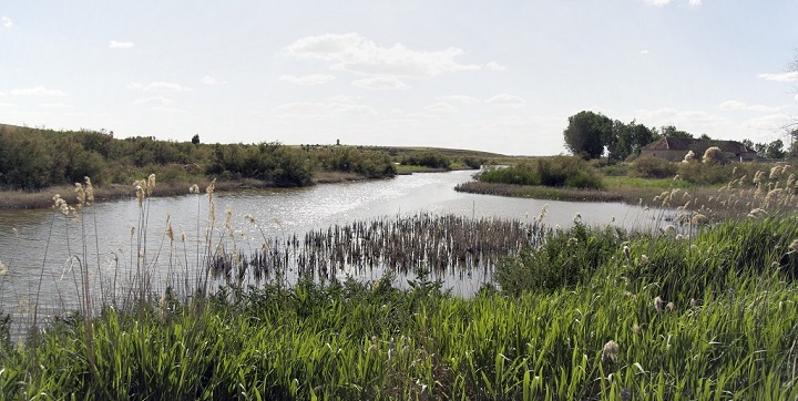 Parque Nacional de las Tablas de Daimiel4