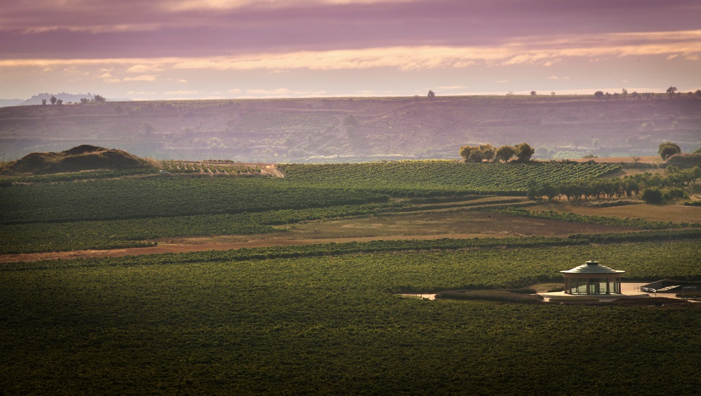 Vivanco bodega