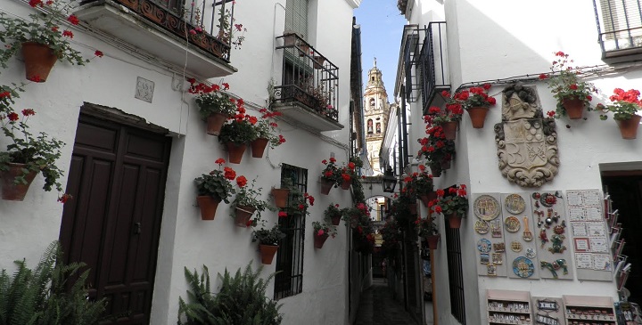 Calleja de las Flores