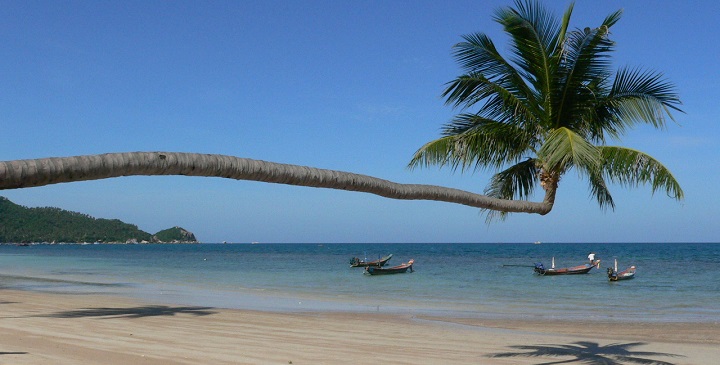 Koh Tao