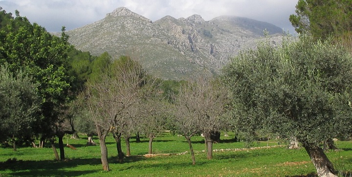 Sierra de la Demanda Burgos1