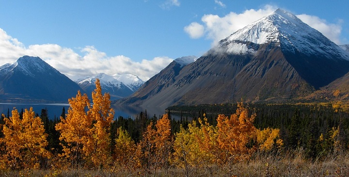 Kluane National Park Canada3