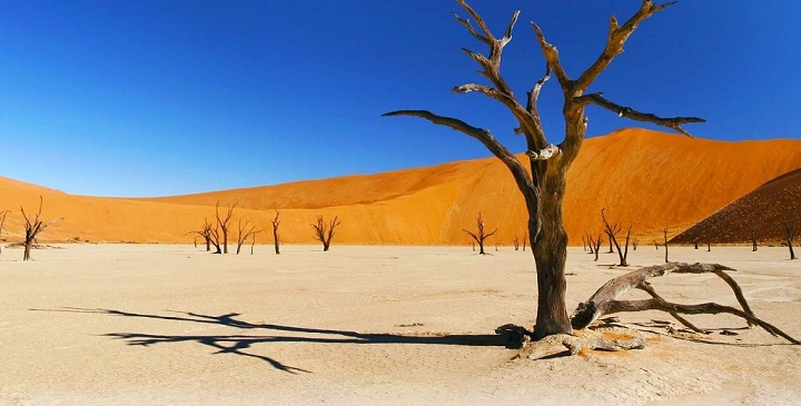 Deadvlei Namibia1