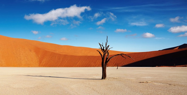 Deadvlei Namibia3