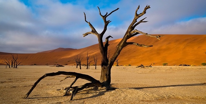 Deadvlei Namibia4