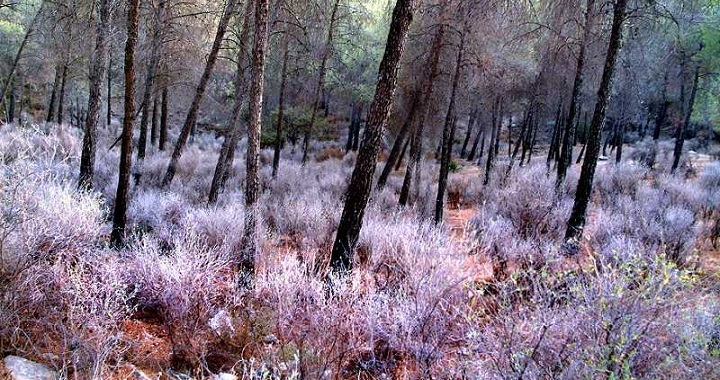 Gran Sendero de Malaga Andalucia