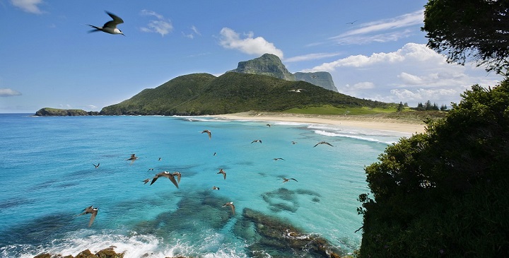 La Isla de Lord Howe, un auténtico paraíso en la Tierra