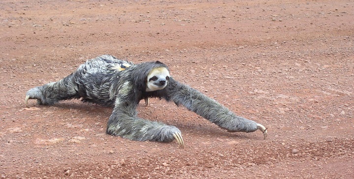 Monte Roraima Venezuela3