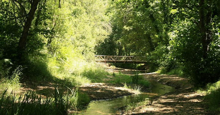 Parque Natural de los Alcornocales Cadiz