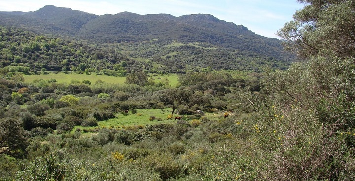 Parque Natural de los Alcornocales Cadiz4