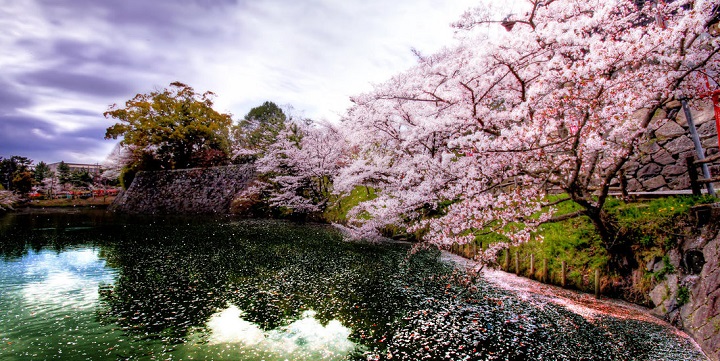 consejos japon3