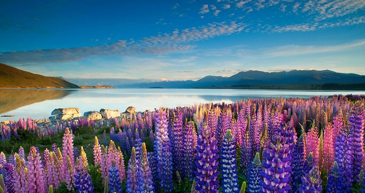 Lago Tekapo Nueva Zelanda