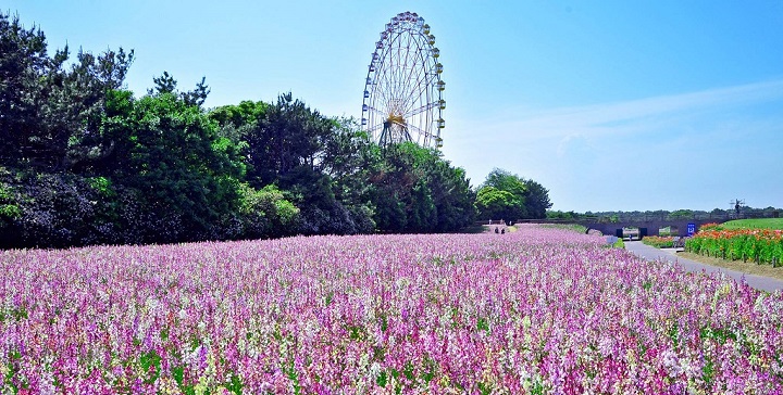 Parque Hitachi Japon4