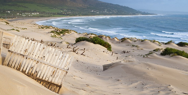 Playa de Bolonia1