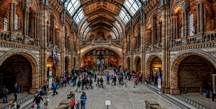 Natural History Museum