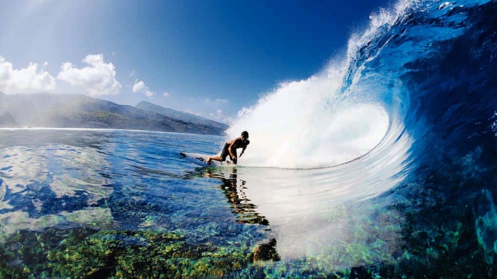 surf hawai