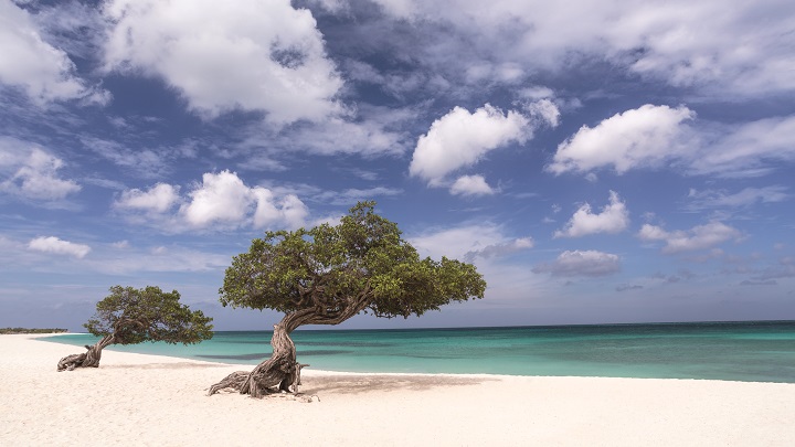 Aruba