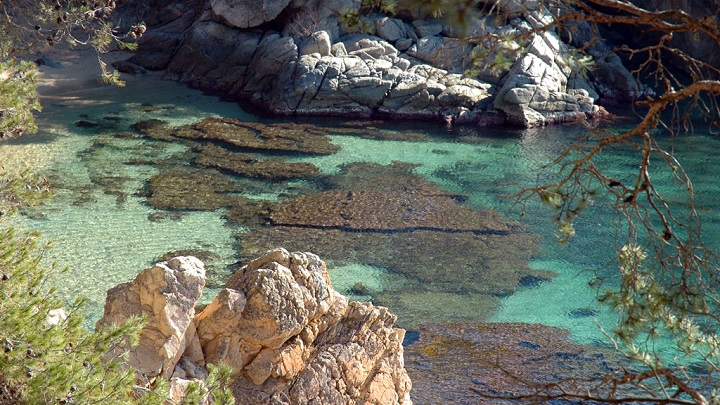 Calas entre Calonge y Platja dAro