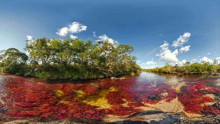 Cano Cristales