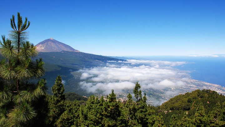 Tenerife