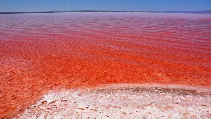 Resultado de imagen para el lago salado turquia