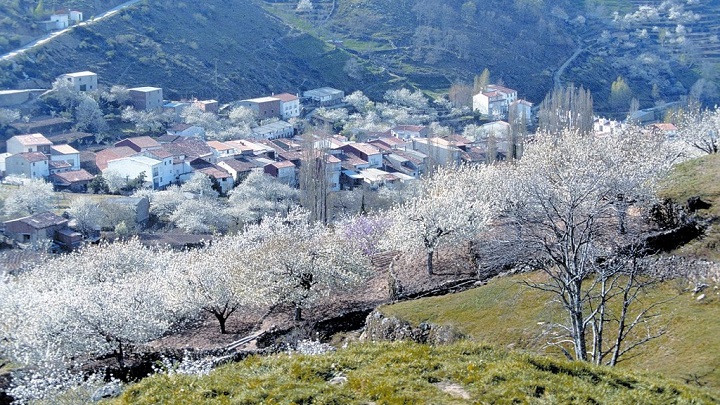 Valle del Jerte Extremadura3