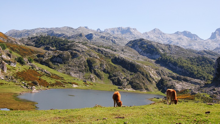 Lagos de Covadonga1